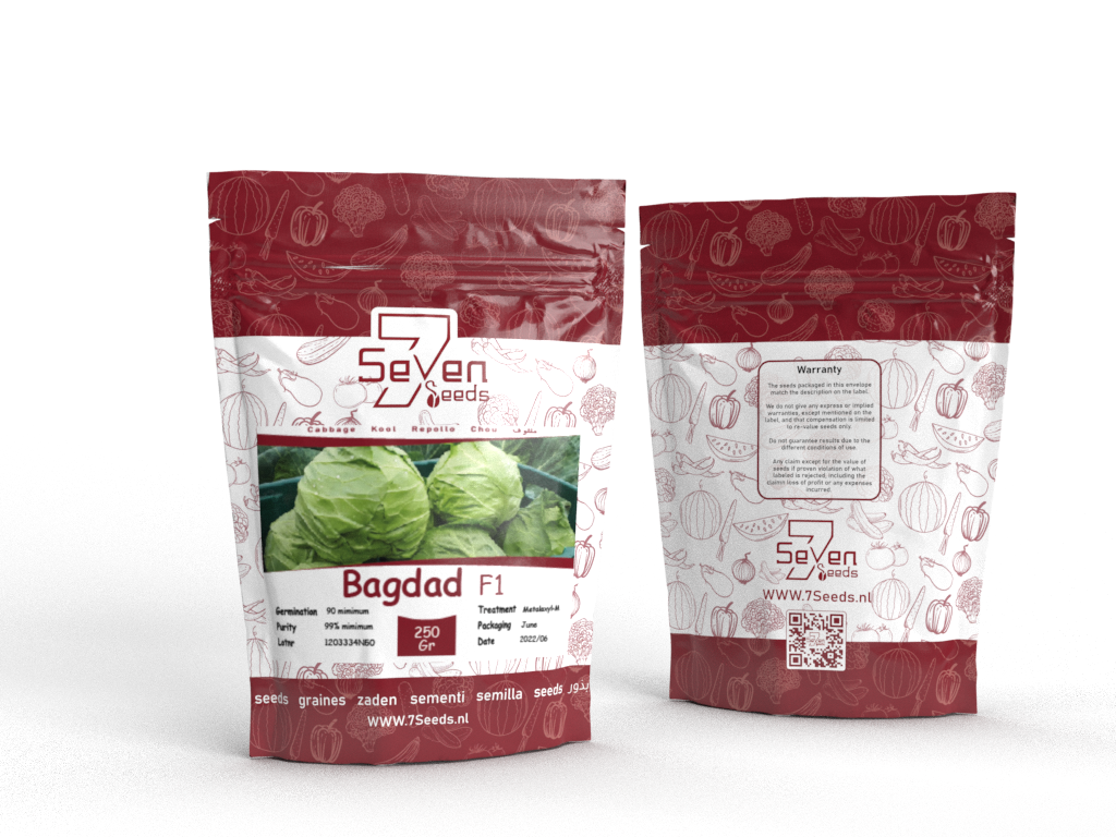 7Seeds Bagdad Cabbage